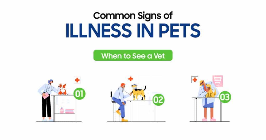 Signs of illness in pets