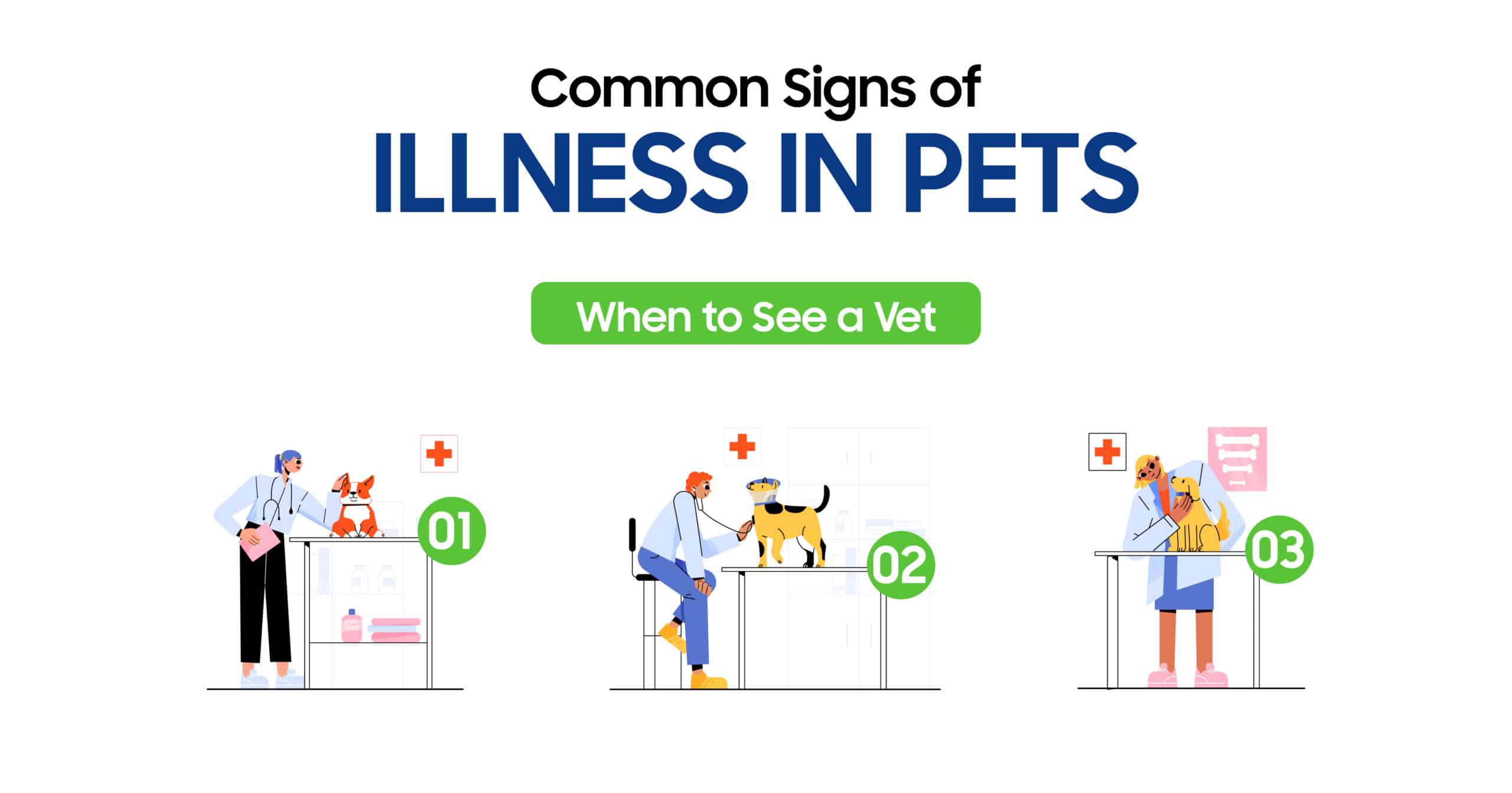 Signs of illness in pets