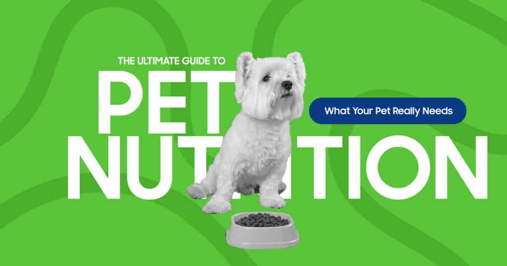 Guide to Pet Nutrition