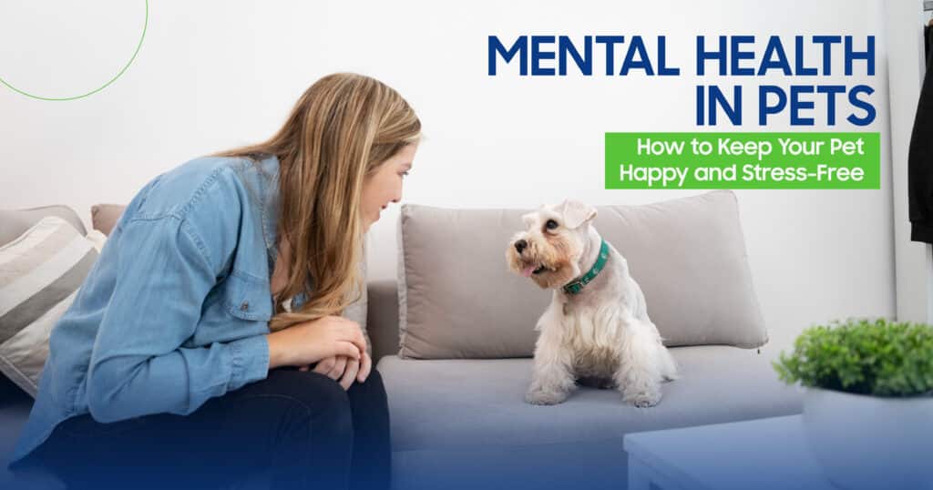 Pet mental health tips