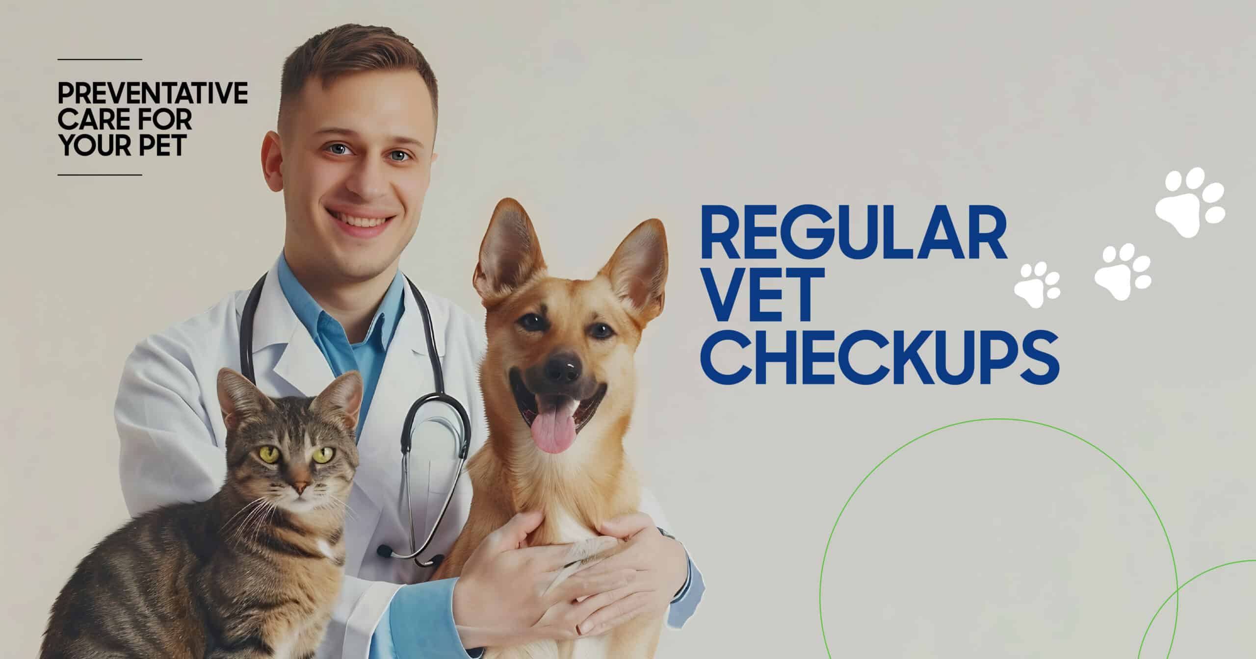 Importance of Regular Vet Checkups