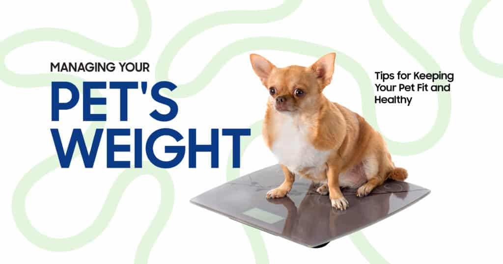 Pet weight management