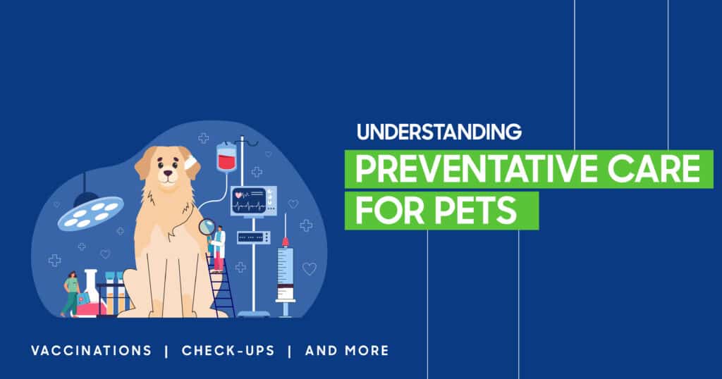 Preventative Care for Pets