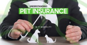 Is Pet Insurance Worth It