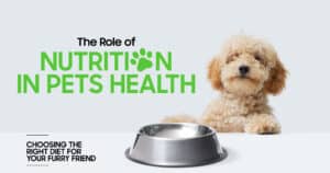 Best Diet for Pet Health