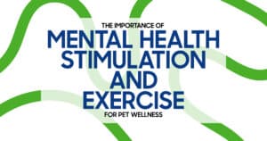 Mental Stimulation and Exercise for Pet Health