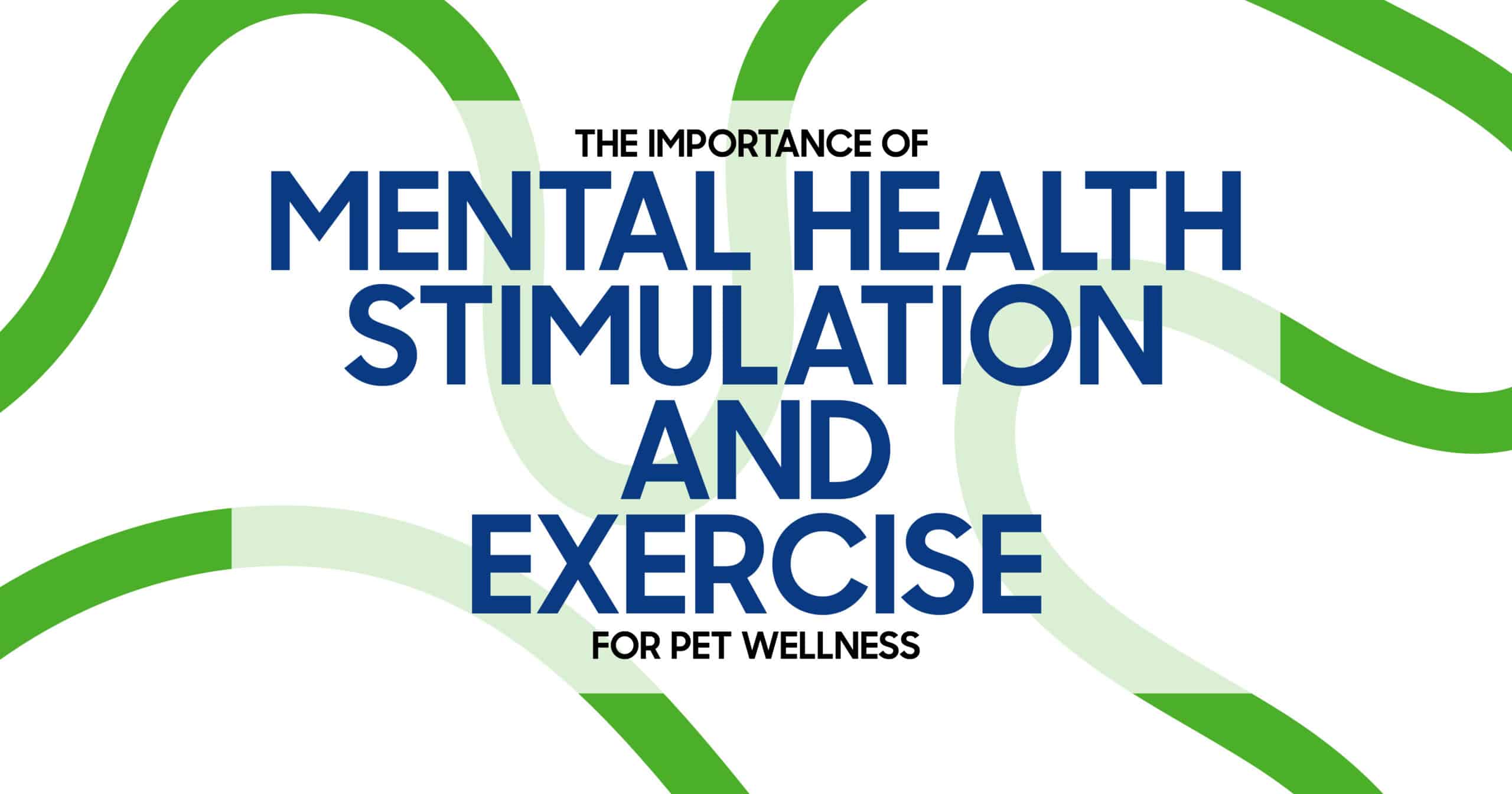 Mental Stimulation and Exercise for Pet Health