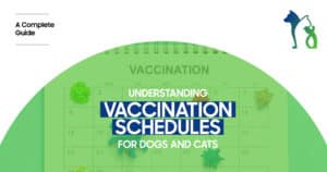 Dog and Cat Vaccination Schedule