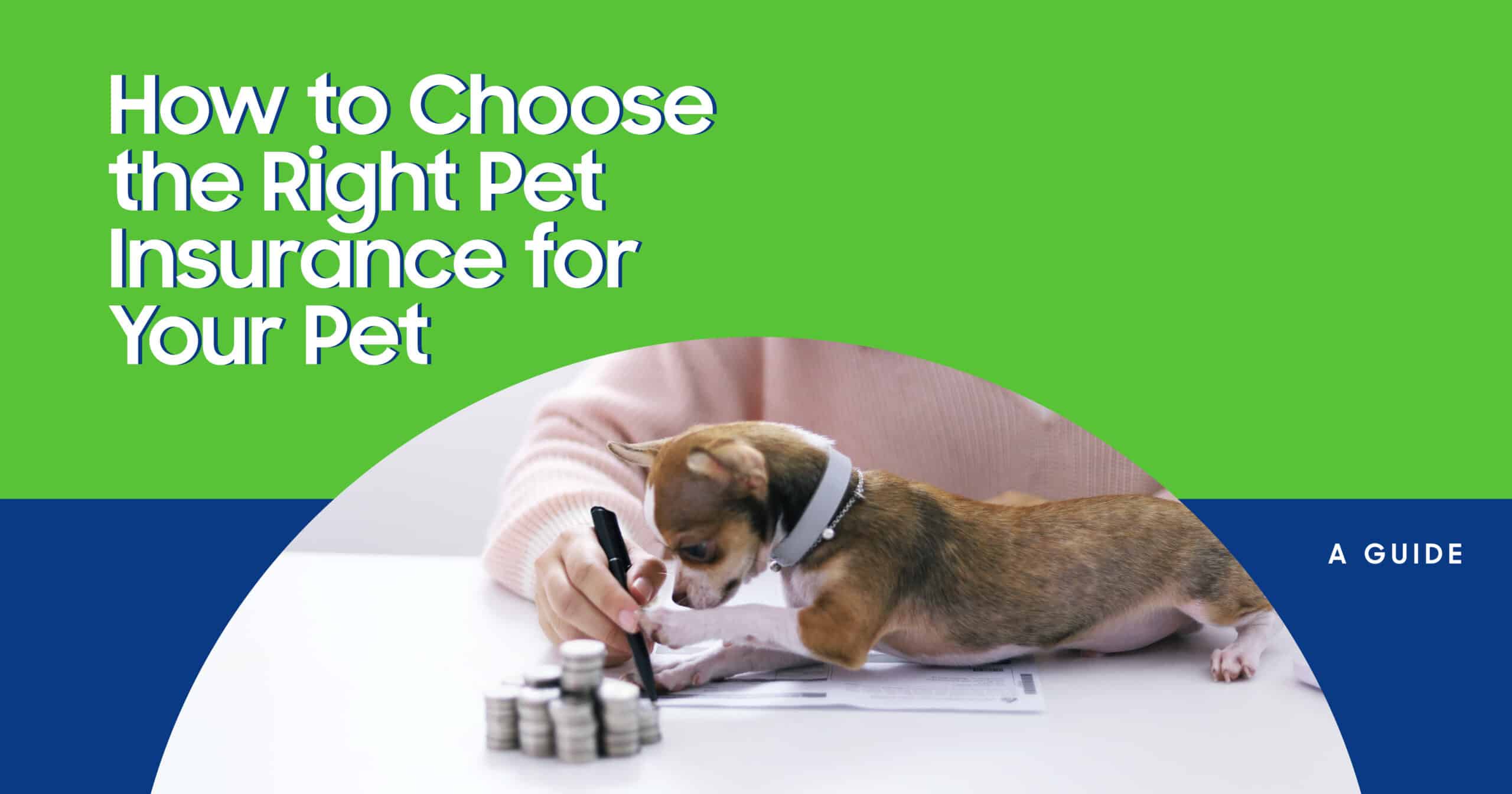 Best Pet Insurance for Your Pet