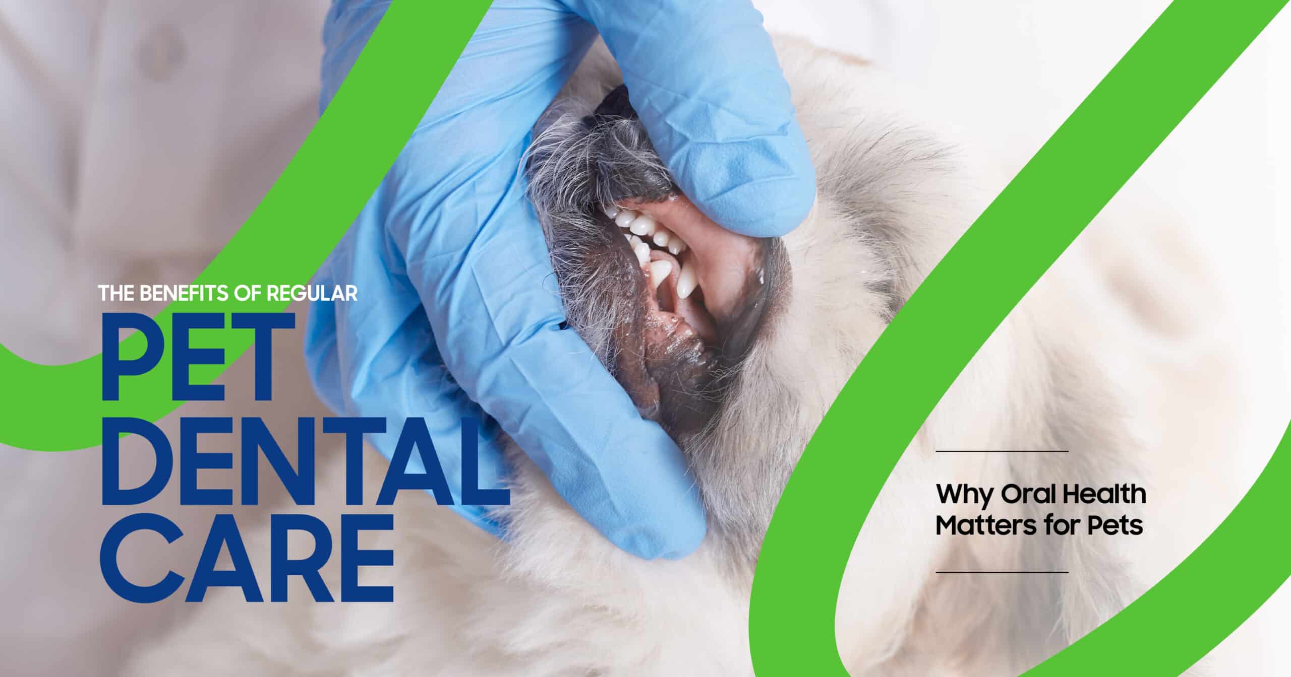 Pet dental care benefits