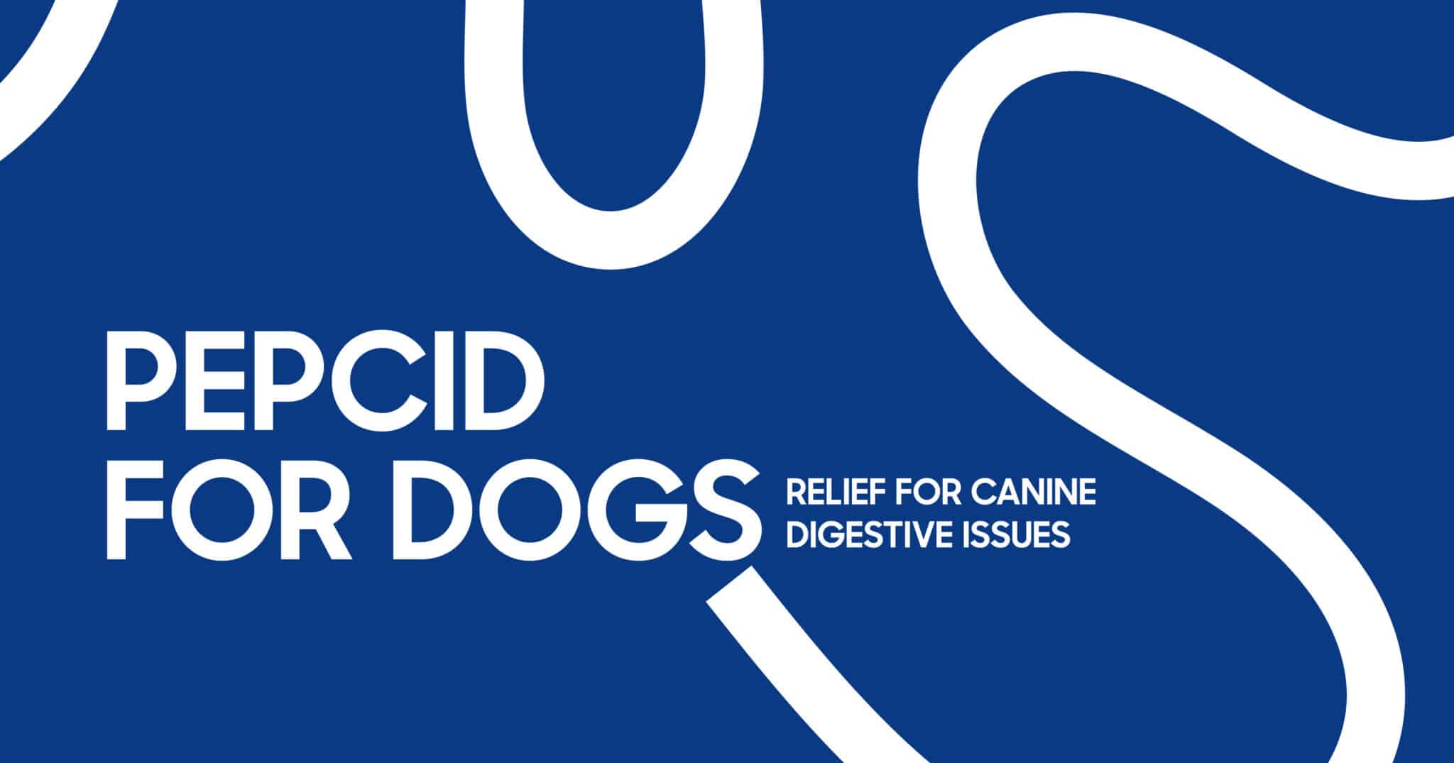 Pepcid for Dogs Safe Use, Dosage & Digestive Relief Guide