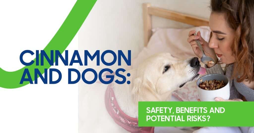 Woman feeding food to a dog while text discusses cinnamon and dogs, including safety, benefits, and potential risks.