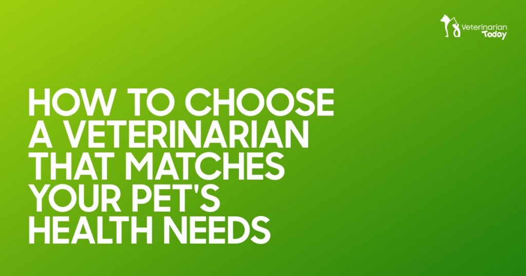 How to choose a veterinarian that matches your pet’s health needs with professional veterinary care guidance