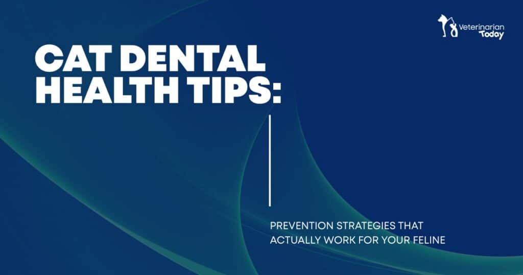 Cat dental health tips showing effective prevention strategies to maintain clean teeth and healthy gums in cats