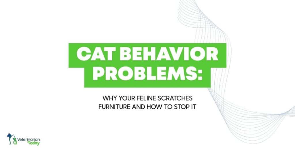 Slide title: Cat Behavior Problems — Why Your Feline Scratches Furniture and How to Stop It (Vet Today branding in corner)