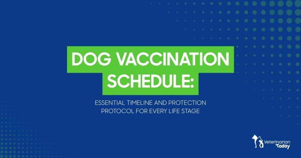 Dog vaccination schedule infographic on a blue background with green title panels; VetToday logo bottom right.
