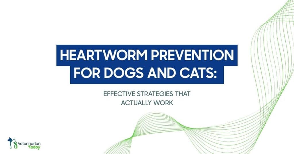 Presentation slide: Heartworm prevention for dogs and cats; subtitle 'Effective strategies that actually work', with green wave design and Veterinarian Today logo in the corner.