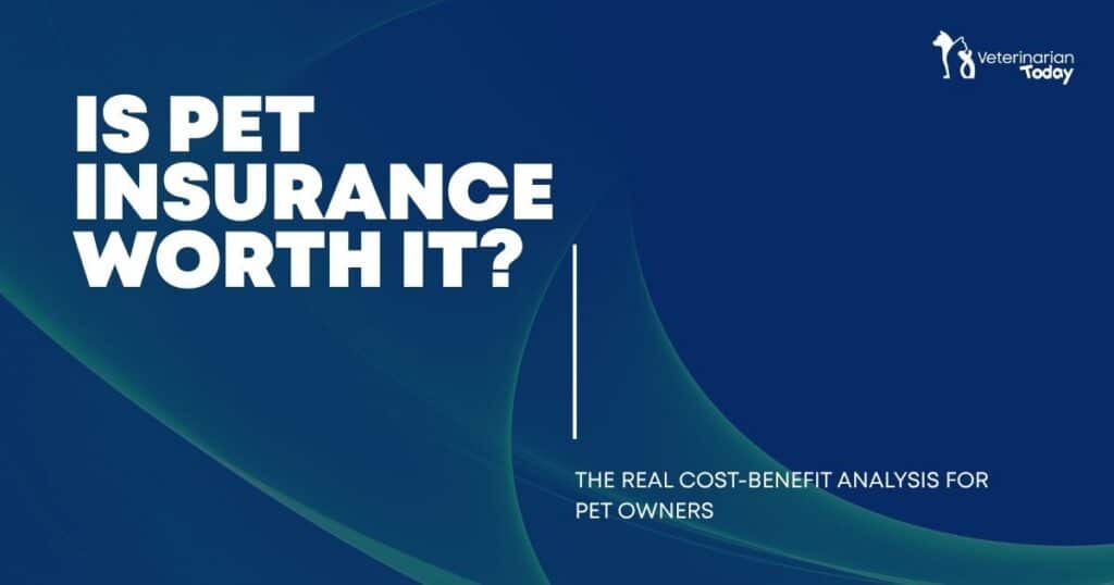 Banner headline: Is pet insurance worth it? with subtitle 'The real cost-benefit analysis for pet owners' and the Veterinarian Today logo in the corner.
