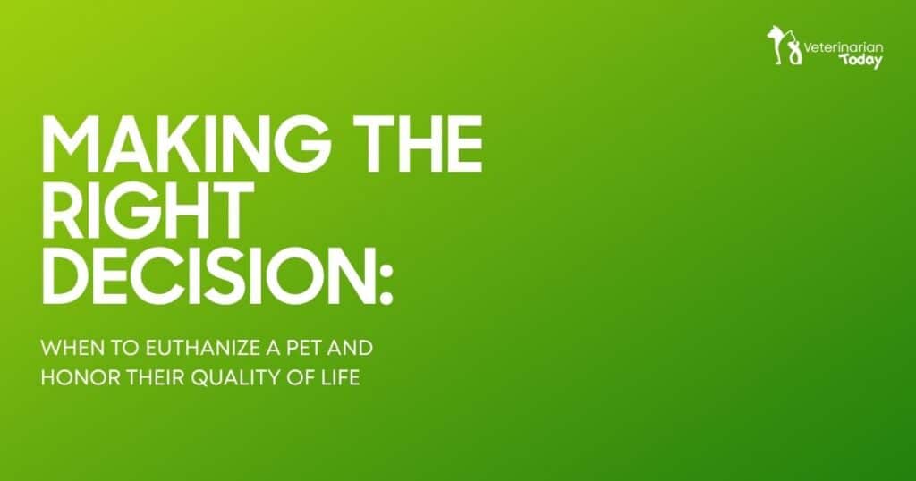 Green gradient banner with bold white title about pet euthanasia decisions; includes Veterinarian Today logo at top right.