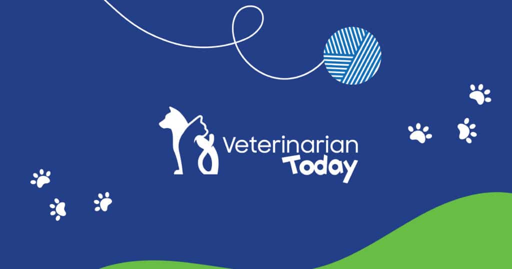 why is my dog panting — featured image