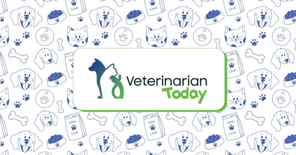 how long does dog grooming take — featured image