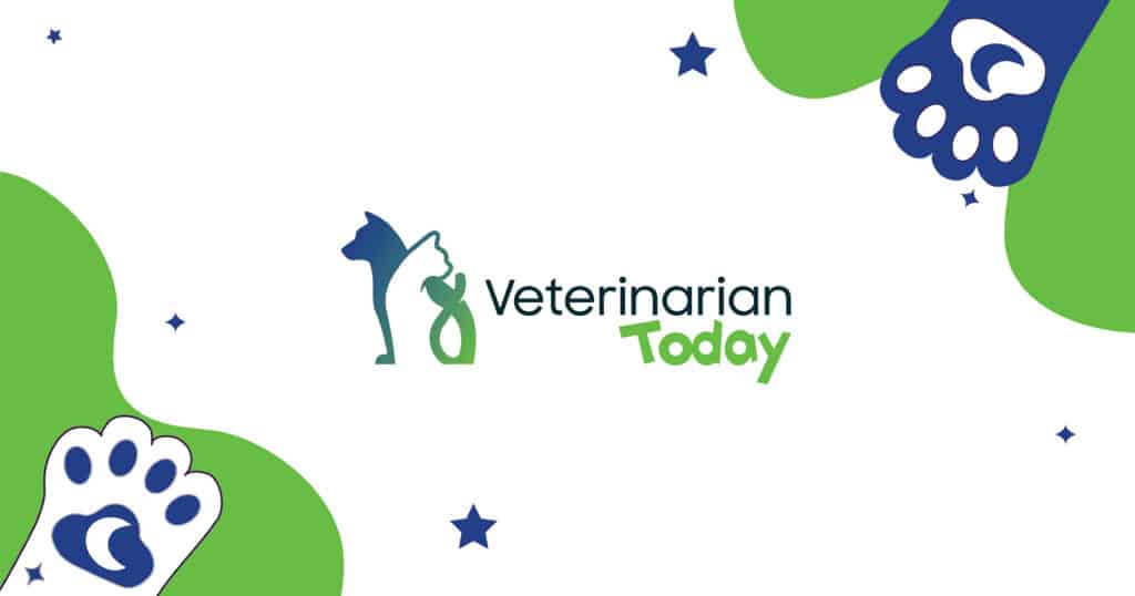 pro plan dog food — featured image